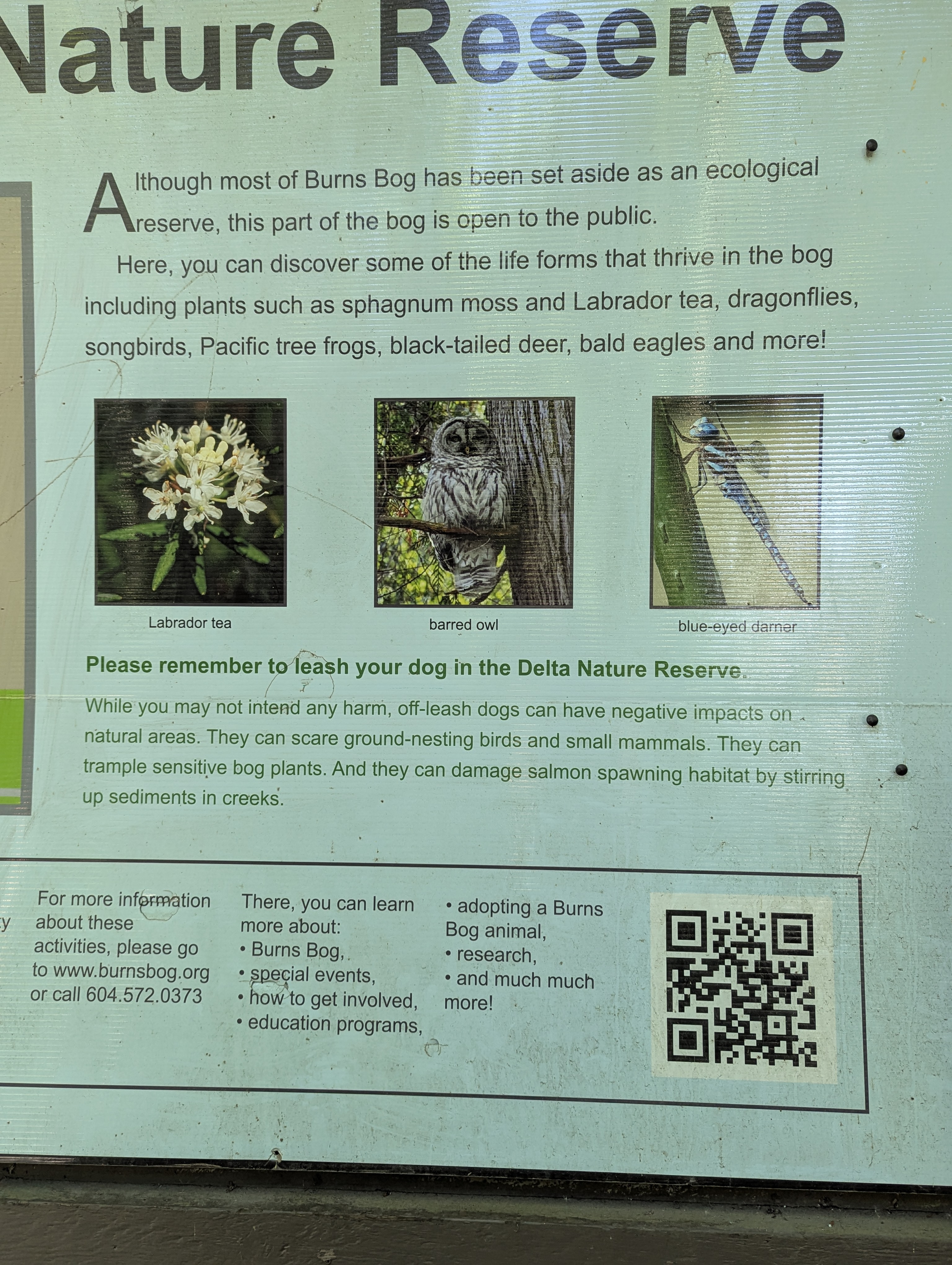 Birthday Trip to Canada, Delta, Burns Bog, Vancouver, British Columbia